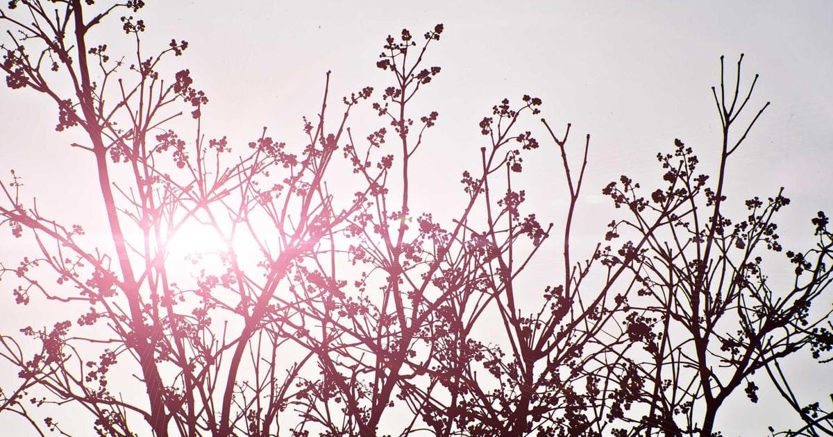 Digitale Prozesse im Büro
